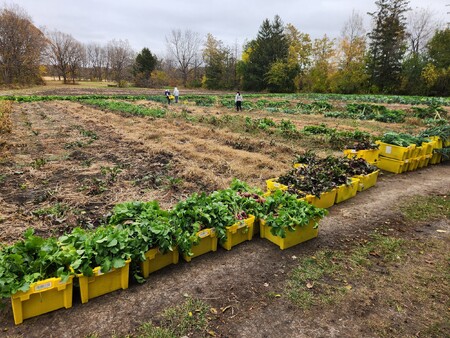 Growing for Kane: Strom Family Farm Continues Cultivating Conservation – Kane County Connects